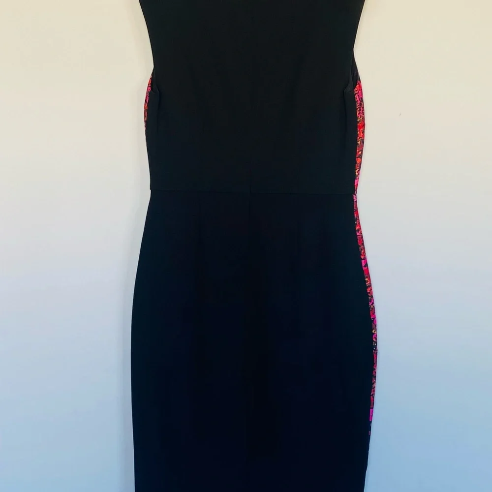Cynthia Steffe Sleeveless Lined Sheath Dress! Black with Pink Florals! Size 2! - Picture 7 of 10